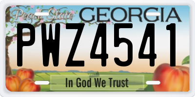 GA license plate PWZ4541