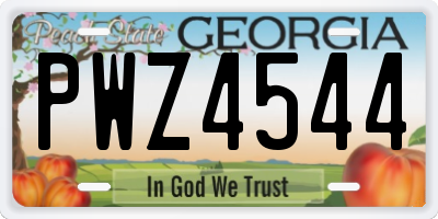 GA license plate PWZ4544