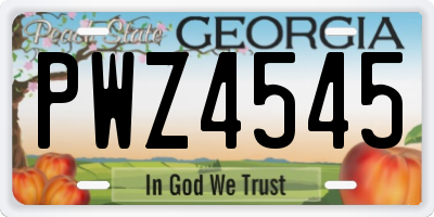GA license plate PWZ4545