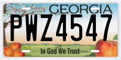 GA license plate PWZ4547