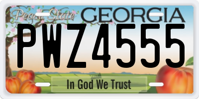 GA license plate PWZ4555