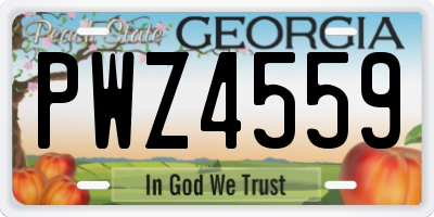 GA license plate PWZ4559