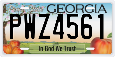 GA license plate PWZ4561