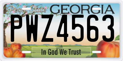 GA license plate PWZ4563