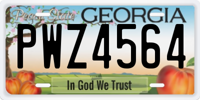 GA license plate PWZ4564