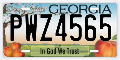 GA license plate PWZ4565