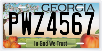 GA license plate PWZ4567