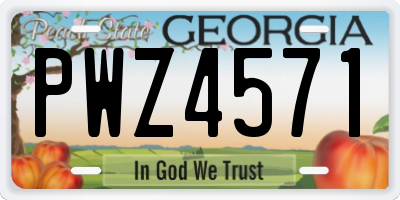 GA license plate PWZ4571