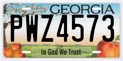 GA license plate PWZ4573