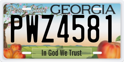 GA license plate PWZ4581