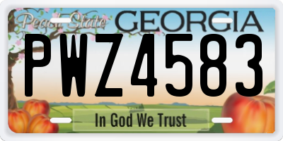 GA license plate PWZ4583