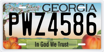 GA license plate PWZ4586
