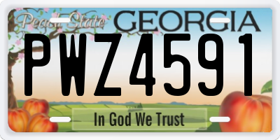 GA license plate PWZ4591