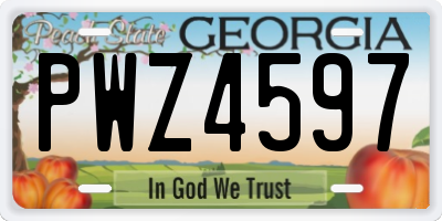GA license plate PWZ4597
