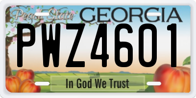 GA license plate PWZ4601