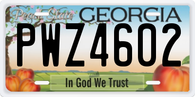 GA license plate PWZ4602