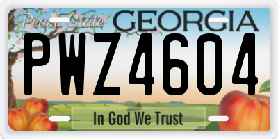 GA license plate PWZ4604