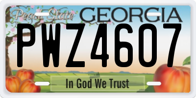 GA license plate PWZ4607