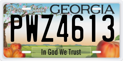 GA license plate PWZ4613