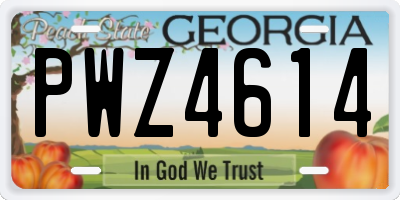 GA license plate PWZ4614