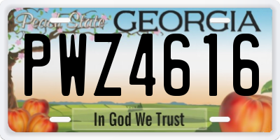 GA license plate PWZ4616