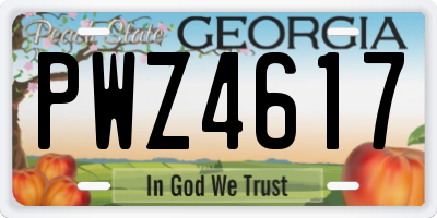 GA license plate PWZ4617