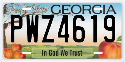 GA license plate PWZ4619