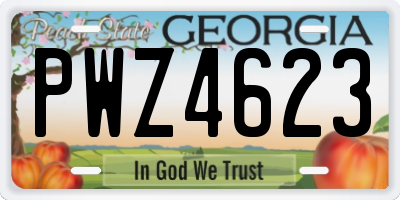 GA license plate PWZ4623