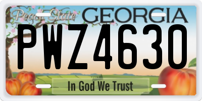 GA license plate PWZ4630