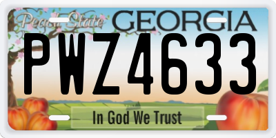 GA license plate PWZ4633