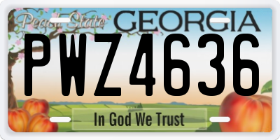 GA license plate PWZ4636