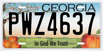 GA license plate PWZ4637