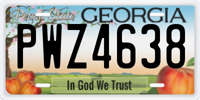 GA license plate PWZ4638