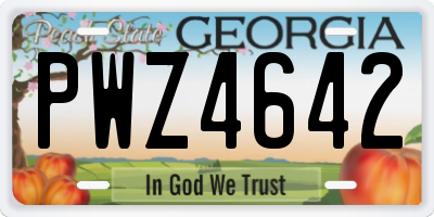 GA license plate PWZ4642