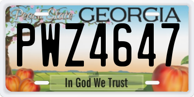 GA license plate PWZ4647