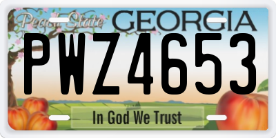 GA license plate PWZ4653