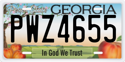 GA license plate PWZ4655