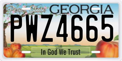 GA license plate PWZ4665