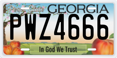 GA license plate PWZ4666