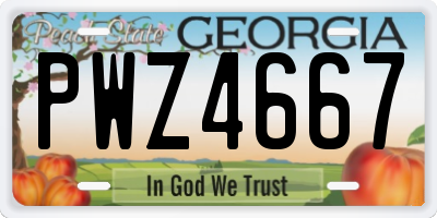 GA license plate PWZ4667