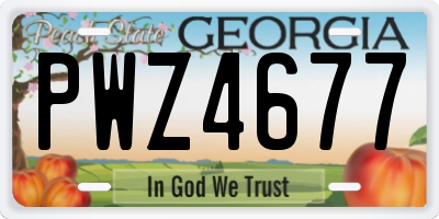 GA license plate PWZ4677