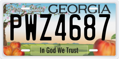 GA license plate PWZ4687