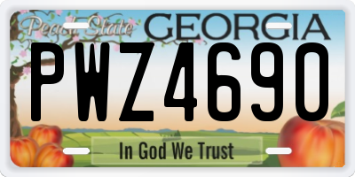 GA license plate PWZ4690