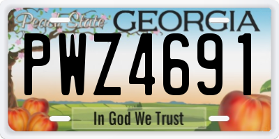GA license plate PWZ4691