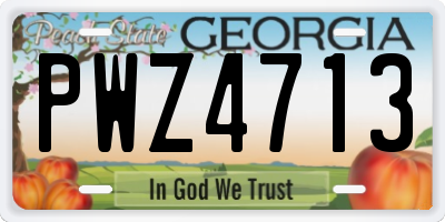 GA license plate PWZ4713