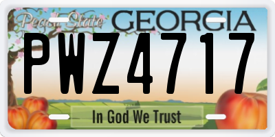 GA license plate PWZ4717