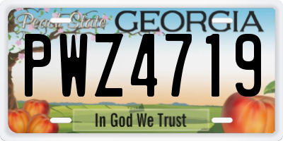 GA license plate PWZ4719