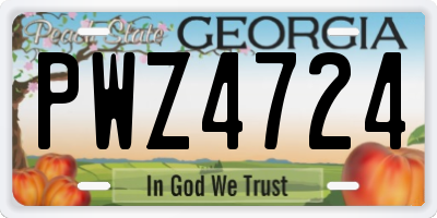 GA license plate PWZ4724