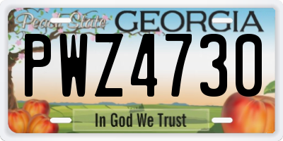 GA license plate PWZ4730