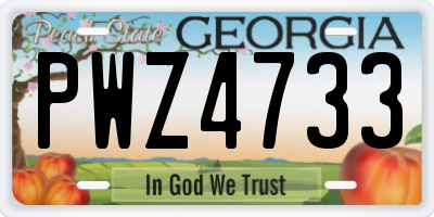 GA license plate PWZ4733